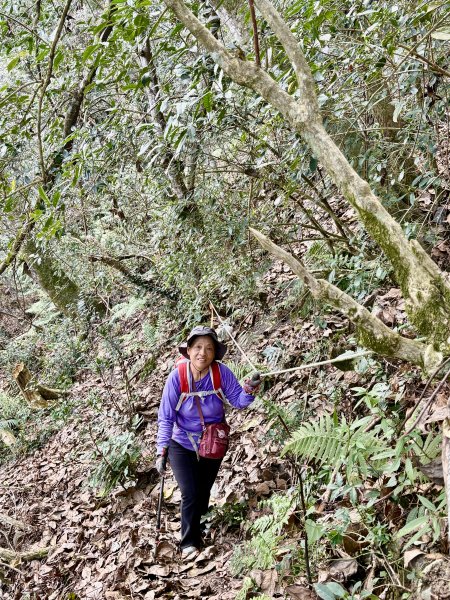 完登新南橫三星-馬馬宇頓山   2026.3.273027484