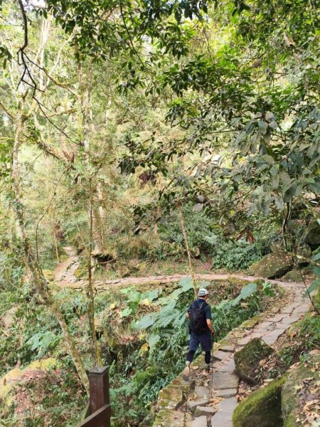 20251218溪頭鳳凰山台寅山上天文台至妖怪村買菜O繞2965594