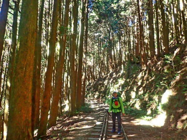 再訪眠月線 2019/11/23-24753041