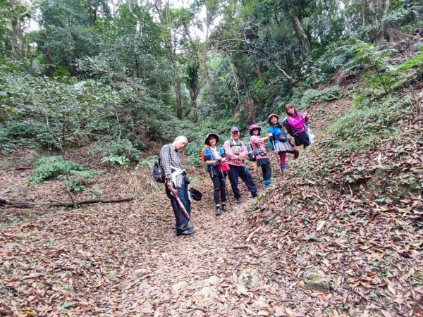 四訪苗栗的花果山-小百岳#037馬那邦山、雪霸國家公園管理處【小百岳集起來、苗栗-臺灣百大必訪步道】2394227