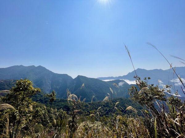 迴頭彎上鍛鍊山海鼠山O型縱走(下)1312429