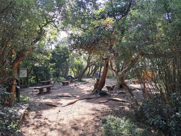 桃園羊稠森林，虎頭山，福山巖，石門山步道3128062