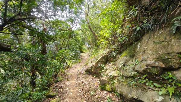 新北深坑，新翠谷登山步道3029710