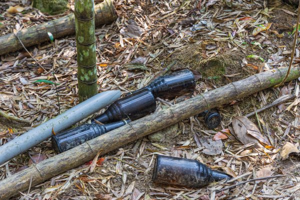 日月潭最高峰-水社大山3025301