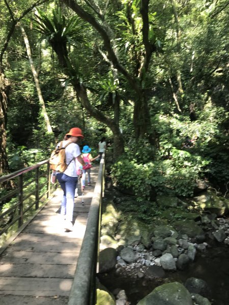 青山瀑布玩水去1024243