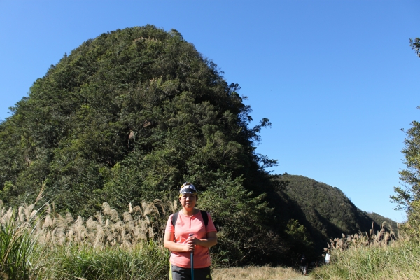 20161226新店獅子頭山登山步道90846