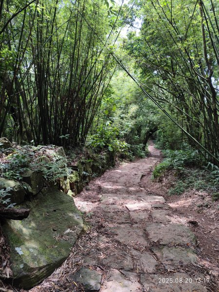 【臺北大縱走 1+2】2-2 大屯主峰-連峰步道→下青礐步道→貴子坑步道→忠義山步道→楓丹白露步道2866908