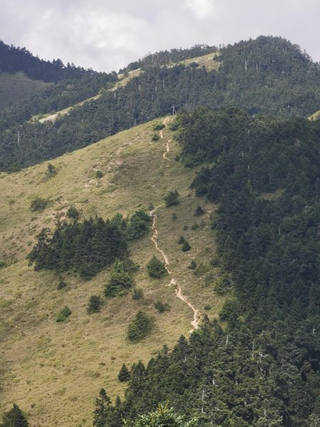 合歡山西峰1158215