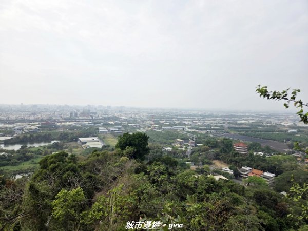 【高雄大社】小百岳大社觀音山步道3013122