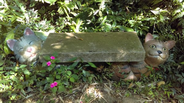 【臺北大縱走7】貓空壺穴、優美的茶香步道804924