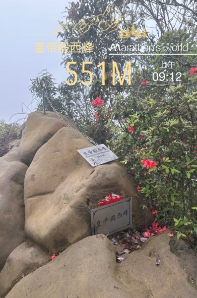 皇帝殿202603293035831