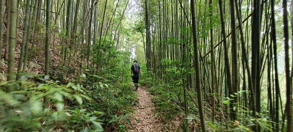 2025/05/17-凌空廊道至比麟山來回2790084