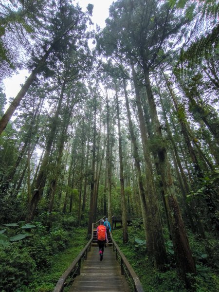 2025-09-14 奮起湖2887441