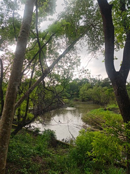 白河店仔口景觀公園2877458