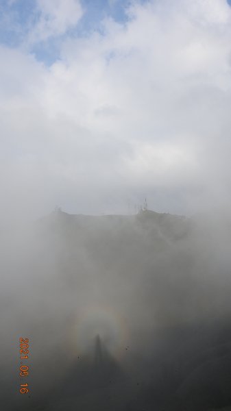 再見觀音圈 - 山頂變幻莫測，雲層帶雲霧飄渺之霧裡看花 & 賞蝶趣1390042