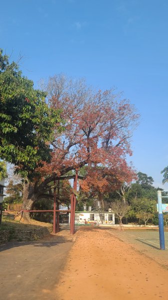 2026-0118新竹新埔文山步道2984637