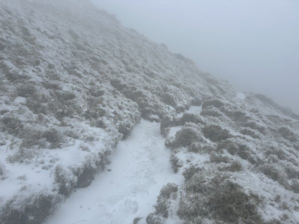 南二段撤退行2743026