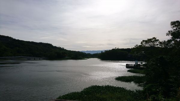 青草湖210989