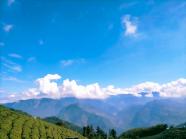 雲嘉連峰2365715