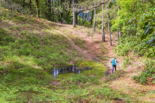 [百岳]大小劍未完2784262