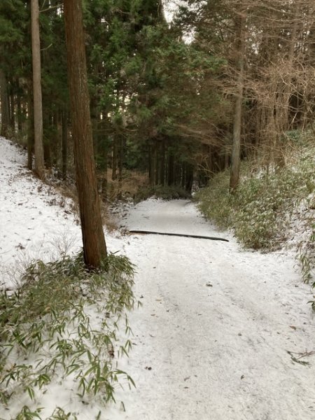 5 大阪金剛山全記錄2711131