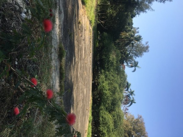 永康糖廠三崁店社遺址、迎曦湖、道爺湖、樹之谷、霞客湖2701594