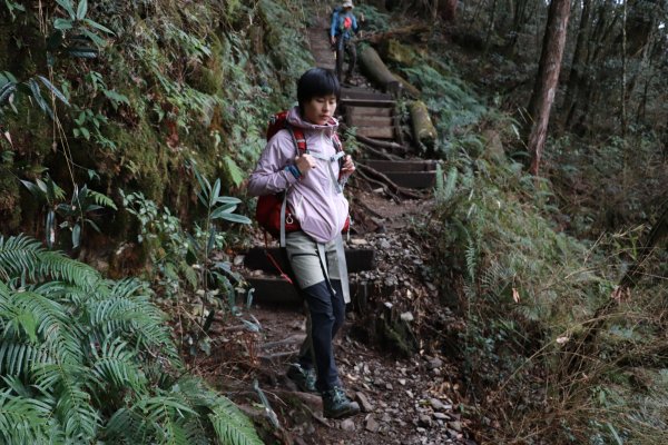 2020-12-12 八仙山1216305