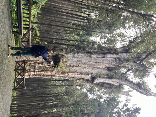 20240910～20240912_玉山行2855588