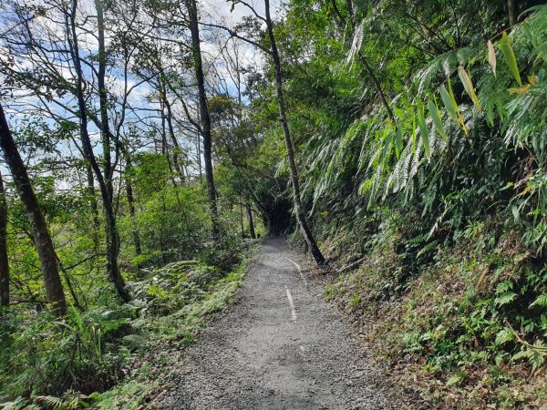 林美石磐步道1269914