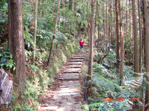 橫山_山背山騎龍古道200802281961350