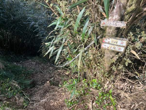 新北 三芝 小觀音山小O2723116