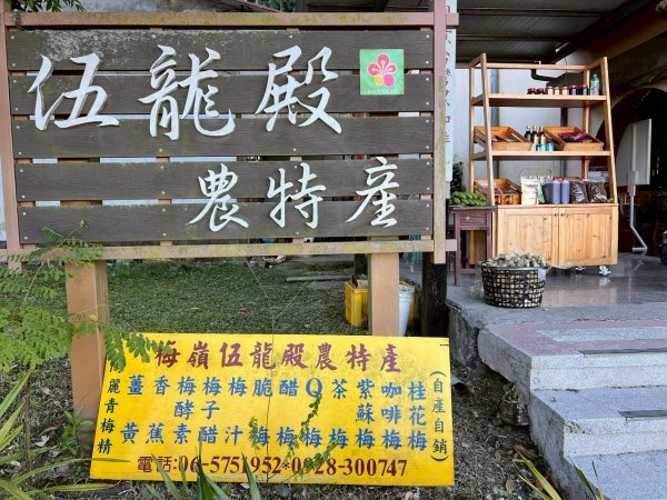 🌈1/4(日)來趣梅嶺~竹子尖山-獵鷹尖-一線天~梅子雞風味餐✨FB：熊熊趴爬走🌈2976851