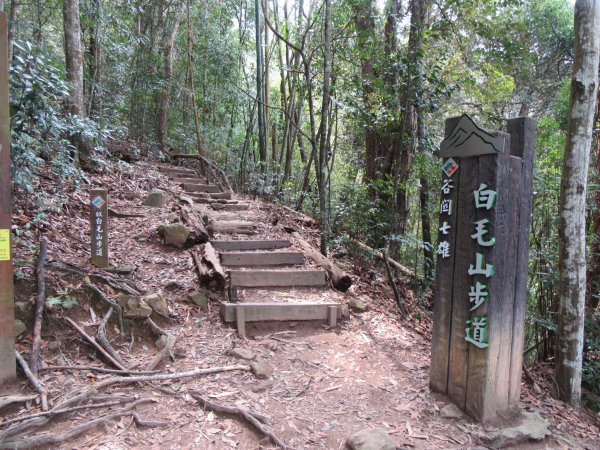 20200321-白毛山886565