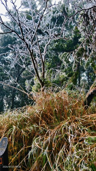 #太平山 #望洋山 #霧淞 1/222986046