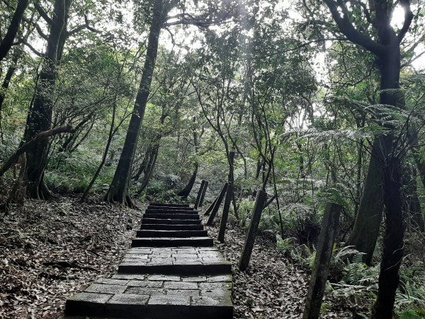 110 年春 登七星山1345732