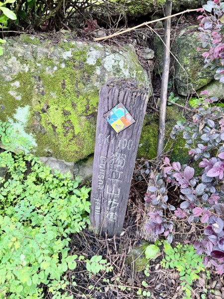 獨立山奉天岩健行趣（雲霧山林間的悠閒時光）   2026.7.303096376