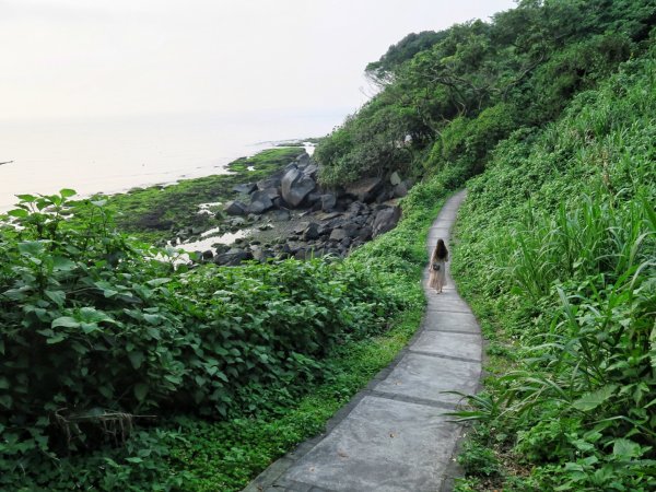 麟山鼻濱海步道 駱駝峰 富貴角公園1340669