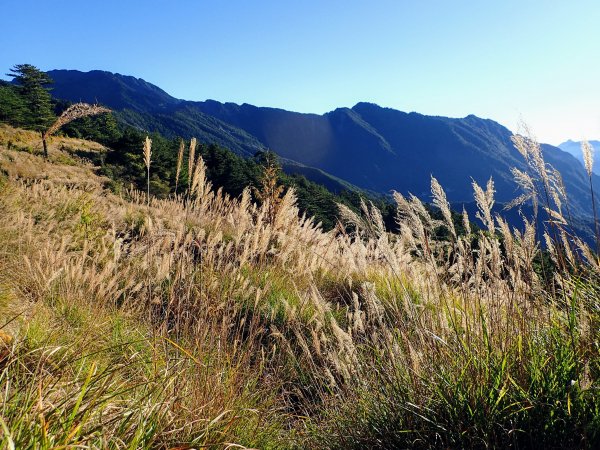 合歡越嶺古道登卯木山1174904