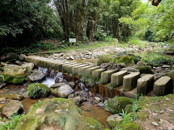 四寮溪生態步道-2025森遊竹縣皮皮獅探險隊2889107