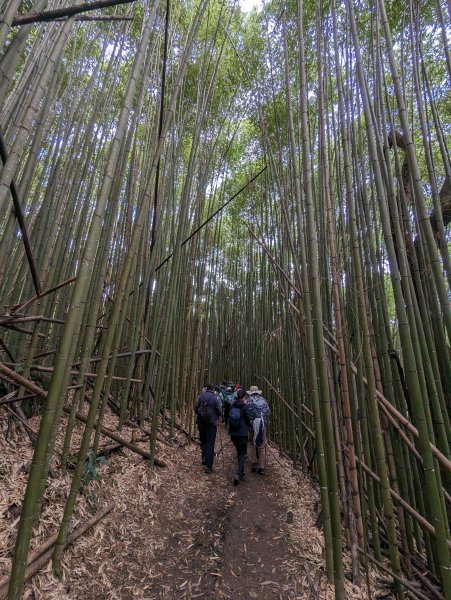 霞喀羅國家步道：養老登山口→白石吊橋(來回)1948481