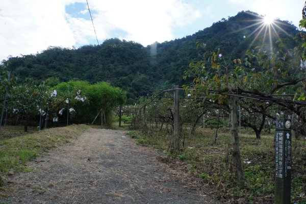 台中 和平 埋伏坪山2924969