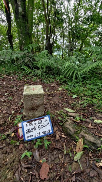 淡蘭古道中路2309204