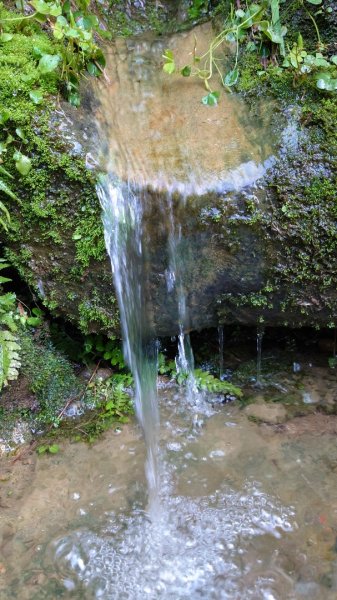 桃園石門山登山步道2208345