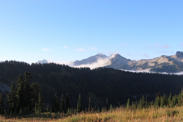 201508美國西部行1雷尼爾山84465