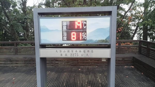 20251010 大雪山國家森林遊樂區 - 船型山林道 登 烏石坑山2911019