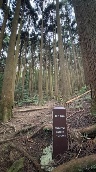 林鐵遺跡2878219