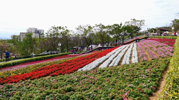 三層崎的呢喃2692143