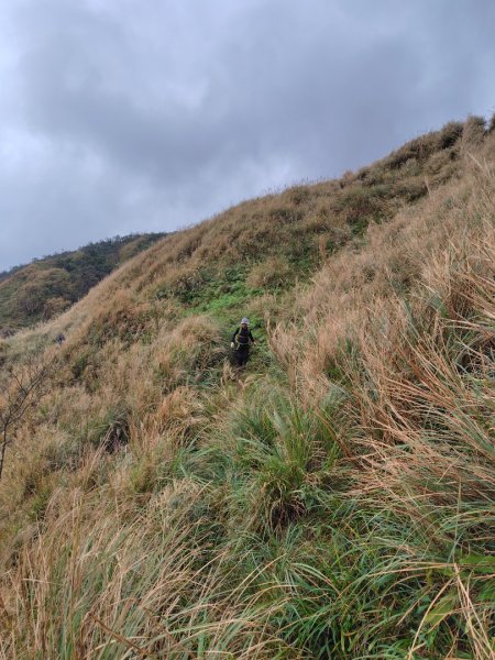渭水之丘 烘爐地山 抹茶山 三角崙山2938749