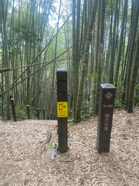 1120329奮瑞古道2643549