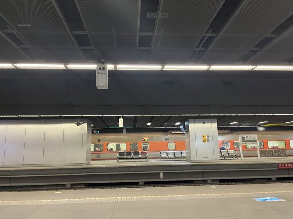 2025_0119 高雄車站2694841